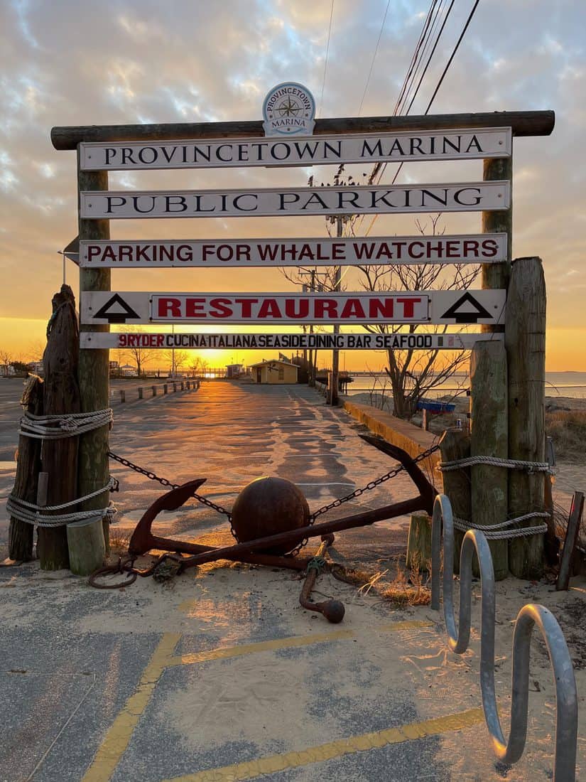 IMG Towleroad Gay News