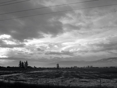 Montana Landscape