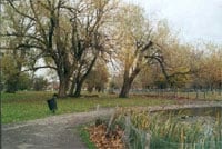 Clapham_common_s