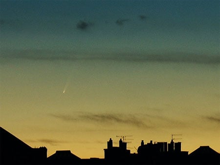 Mcnaught_1