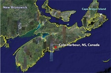 Cole_harbour