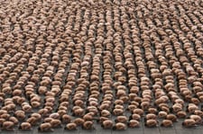 Tunick2