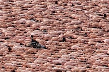 Tunick3_2