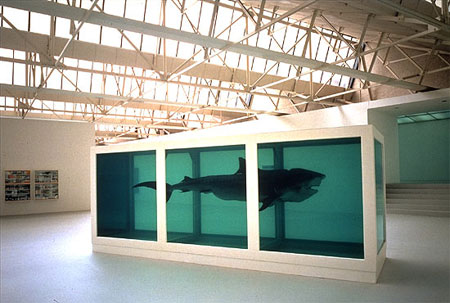 Hirst_shark