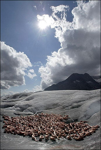 Tunick