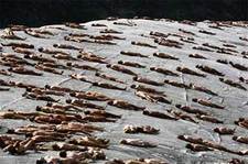 Tunick2_2