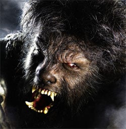 Wolfman