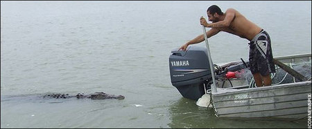 Croc3