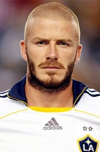 Becks_wolverine