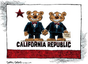 Calbears