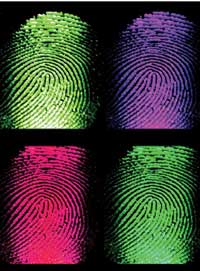 Fingerprint