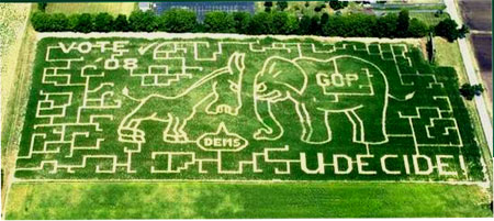 Cornmaze