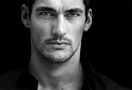 Gandy2