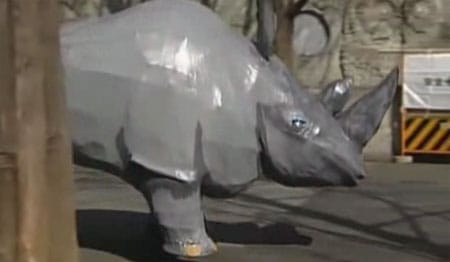 Rhino