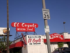 Elcoyote