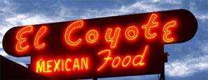 Elcoyote