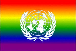 Un-gay-flag-20090101-329