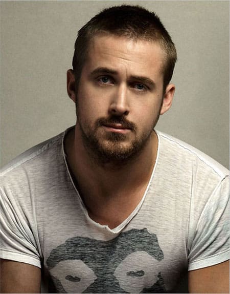 Gosling