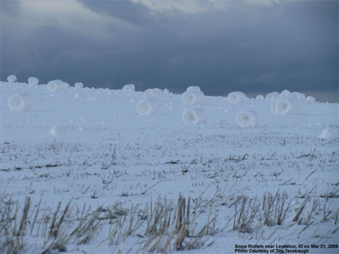 Snowrollers