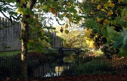 Park