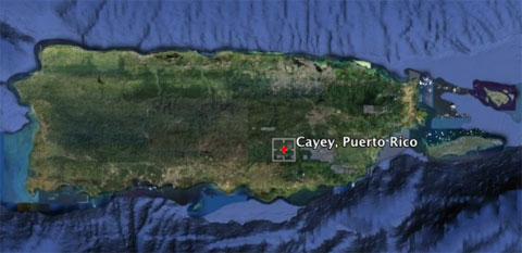 Cayey