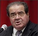 Scalia