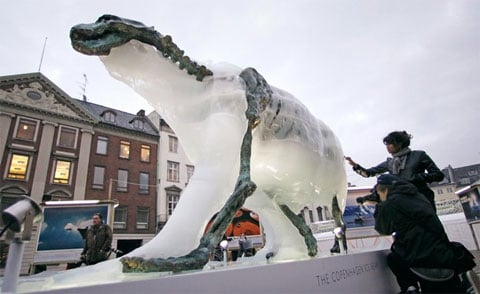 Copenhagen_icebear