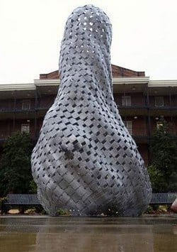 Phallus