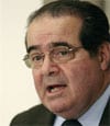 Scalia