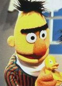 Bert