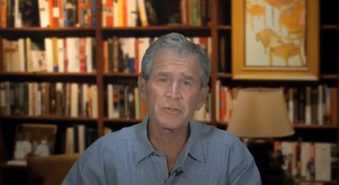 Bush
