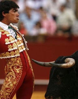 Bullfight