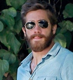 Bearded_gyllenhaal