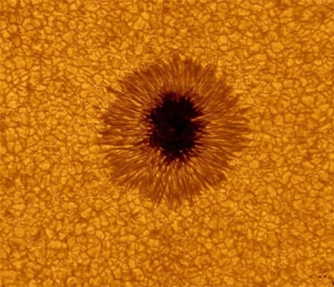 Sunspot