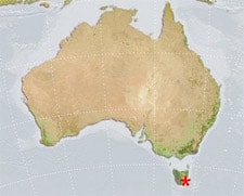 Tasmania