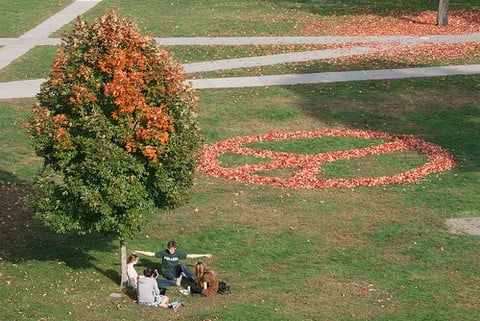 Peacesignvassar