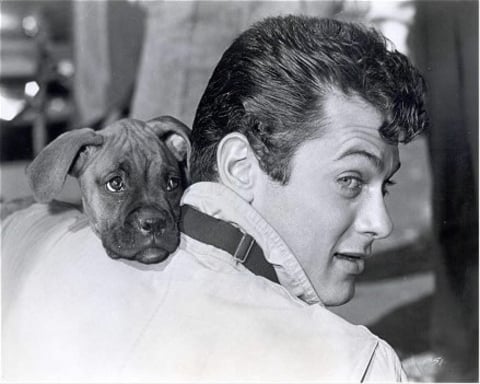 Tonycurtis