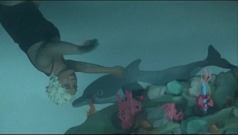 Watch: Isabella Rossellini Has Her Eye On Hot Gay Dolphin Action -  Towleroad Gay News