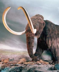 Mammoth