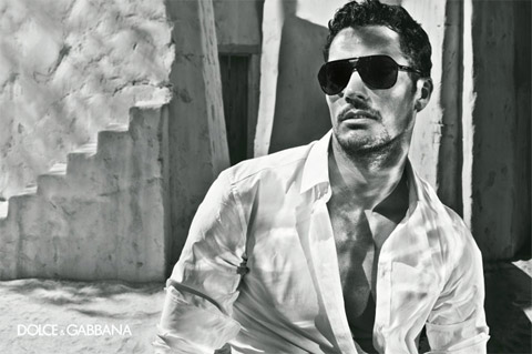 Gandy