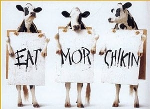 Eatmorechikin