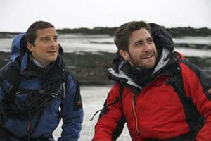 Grylls_gyllenhaal