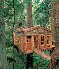 Treehouse