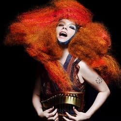 Bjork-2011_610