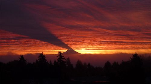 Rainier