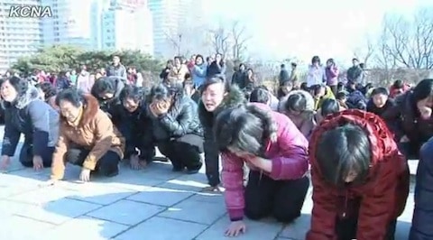 Nk2