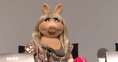 Misspiggy