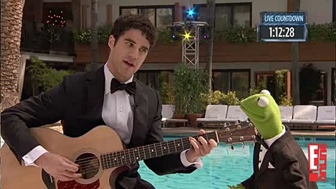 Kermit_criss