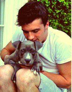 Puppy_hutcherson