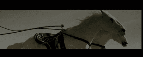 ScissorSistersHorses ScissorSistersHorses